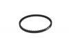SPEC.R SPR019-B192 64T Rear belt for HB-TCX