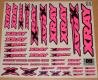 XRay 397314 Neon pink. Sticker for Body